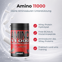 Prosport AMINO 11000 Molkenprotein Hydrolysat 300 Tabletten