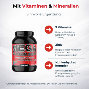 Prosport MEGA GAINER 9800 Cocos-Vanille-Zimt, 3000g Dose