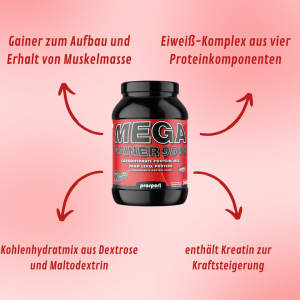Prosport MEGA GAINER 9800 Cocos-Vanille-Zimt