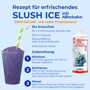 Prosport ALLINCLUSIVE® 1 Liter Flasche Blue-Berry