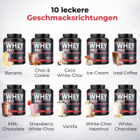 Prosport WHEY PRO® 2350g Big-Box White-Choc Hazelnut