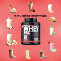 Prosport WHEY PRO ® 2350g Big-Box