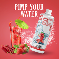 Prosport ALLINCLUSIVE ® 1 Liter Flasche Erdbeer-Rhabarber