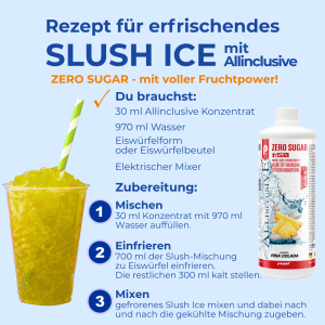 Prosport ALLINCLUSIVE® 1 Liter Flasche Pina Colada