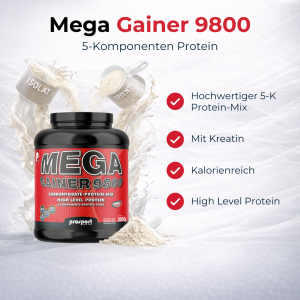 Prosport MEGA GAINER 9800 Schoko-Zimt, 3000g Dose