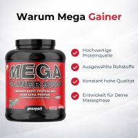 Prosport MEGA GAINER 9800 Schoko-Zimt, 3000g Dose