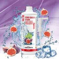 Prosport ALLINCLUSIVE® 1 Liter Flasche Feige-Limette + Dosierpumpe