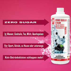 Prosport ALLINCLUSIVE® 2x1 Liter Flasche Schwarze-Johannisbeere