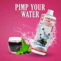 Prosport ALLINCLUSIVE® 2x1 Liter Flasche Schwarze-Johannisbeere