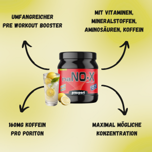 Prosport naNO-X® BOOSTER Citrus-Punch 908g Dose