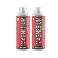 Prosport Magnesium flüssig 2x 0,5L Flasche