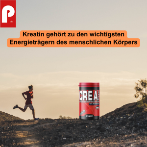 Prosport WHEY PRO® - Konzentrat-Isolat-Mix - 2350g Big-Box inkl. CREA® TOP 500g