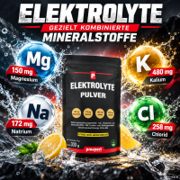 Prosport Elektrolyte Pulver Citro-Mix 300g Beutel