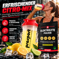 Prosport Elektrolyte Pulver Citro-Mix 300g Beutel