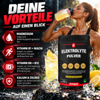Prosport Elektrolyte Pulver Citro-Mix 300g Beutel