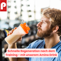 Prosport Amino Drink Pulver Orange 500g Beutel