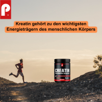 Prosport CREATIN Kautabletten Orange, 200 Stück, 519g Dose
